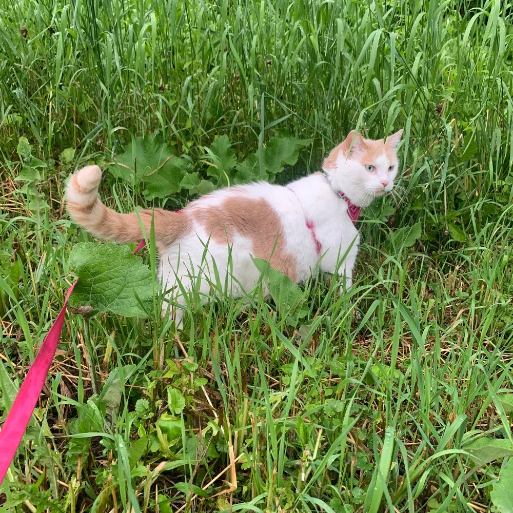 Meet your Posher, Jay